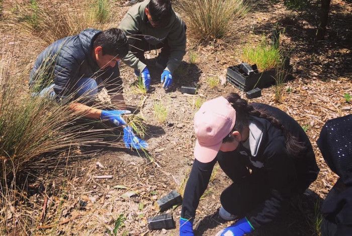 Youth helping with a replanting project