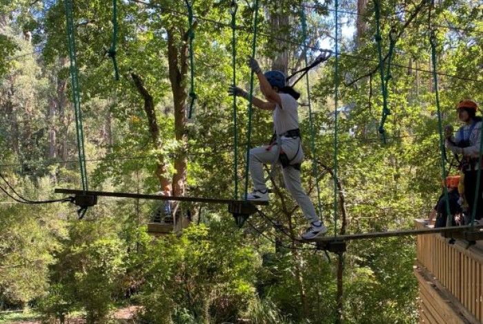 Young person climbing tree rope course