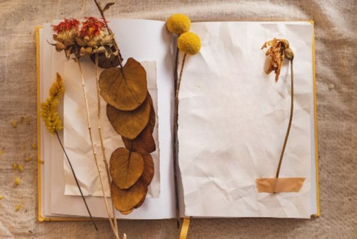 Journal with leaves and flowers