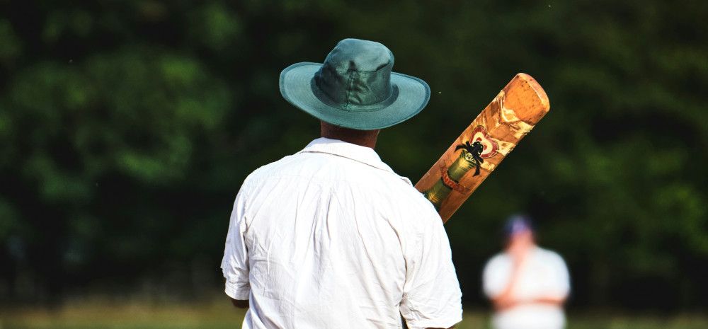 person holding cricket bat