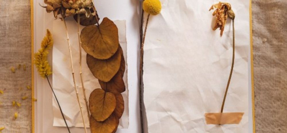 Journal with leaves and flowers