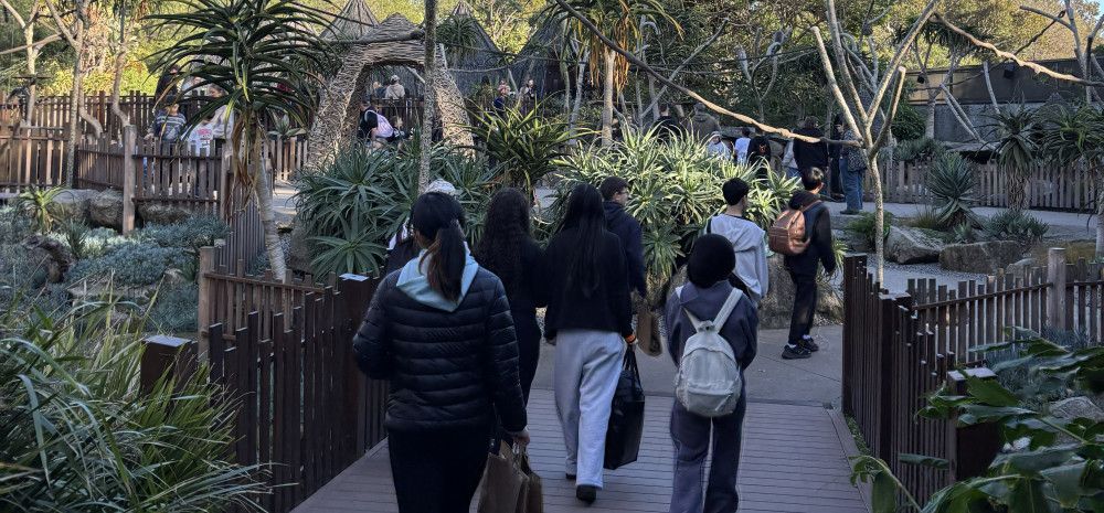 Young people walking through Melbourne Zoo